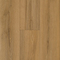 2525 carreaux de sol SPC