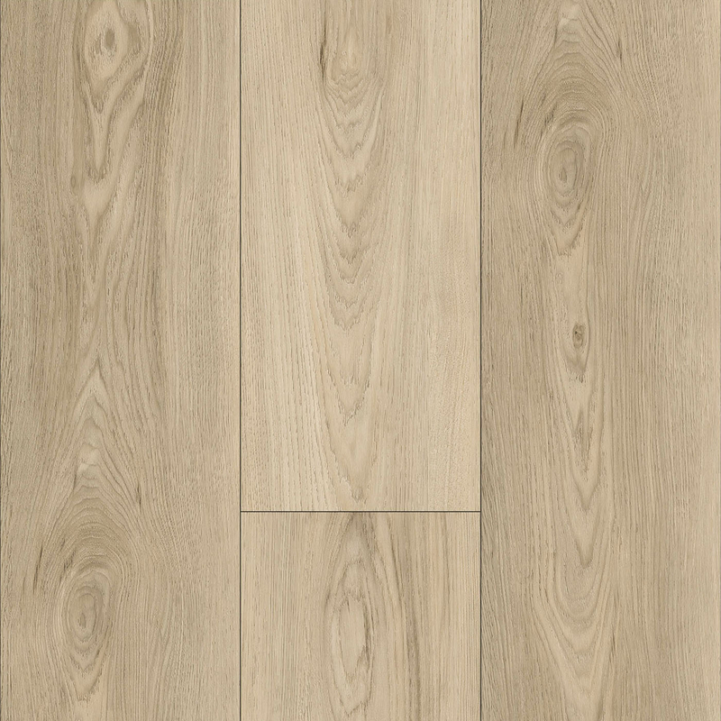 5505 Eir de surface hybride de surface