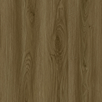 2546 PVC Floor