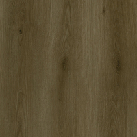 2547 Vinyl SPC Tile 